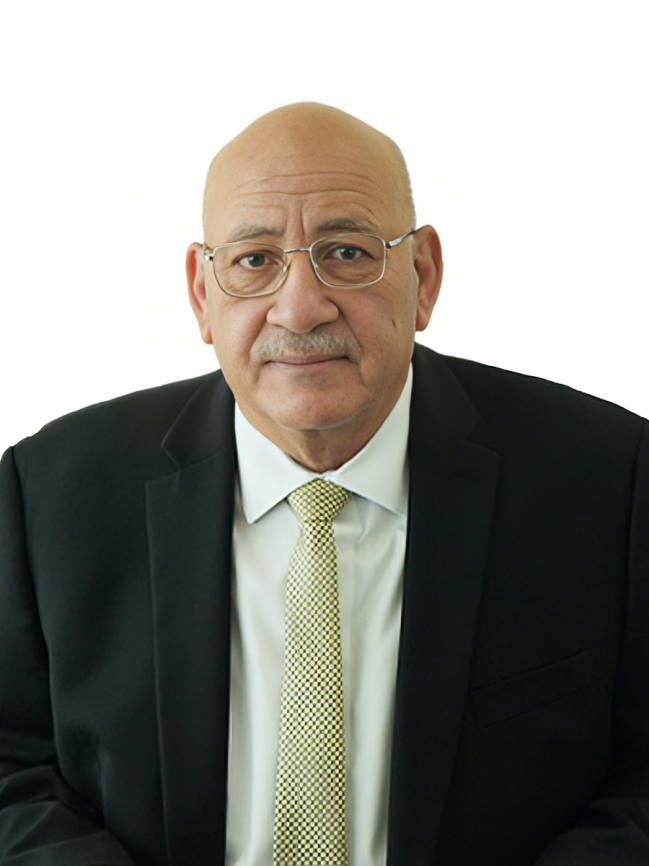 Mr. Moustafa Elmoustehy